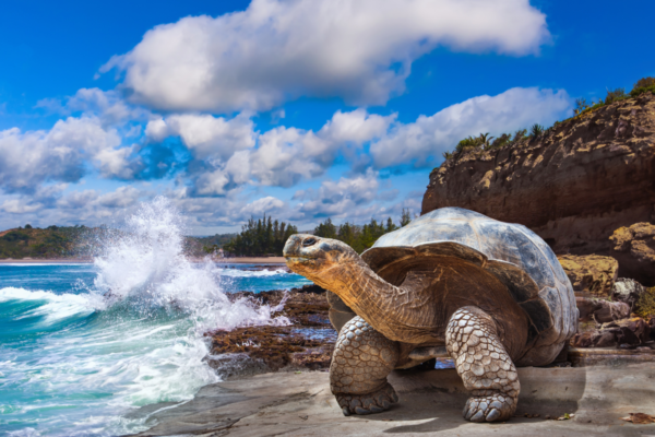 Galápagos Islands, National Geographic