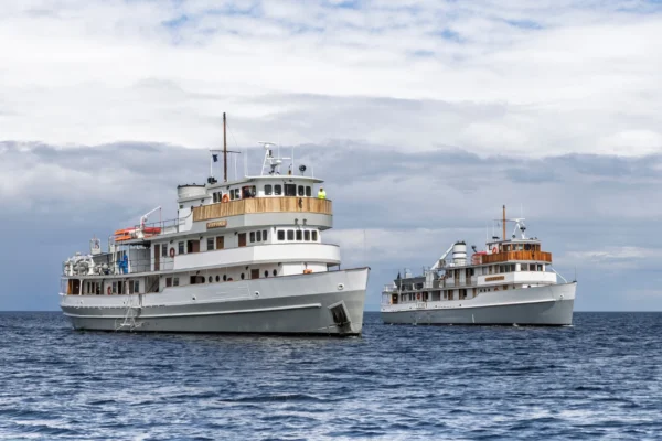 The Boat Company, Panache Cruises