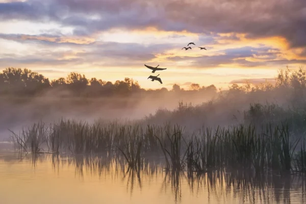 River Focus, The Rhine, VIVA Enjoy