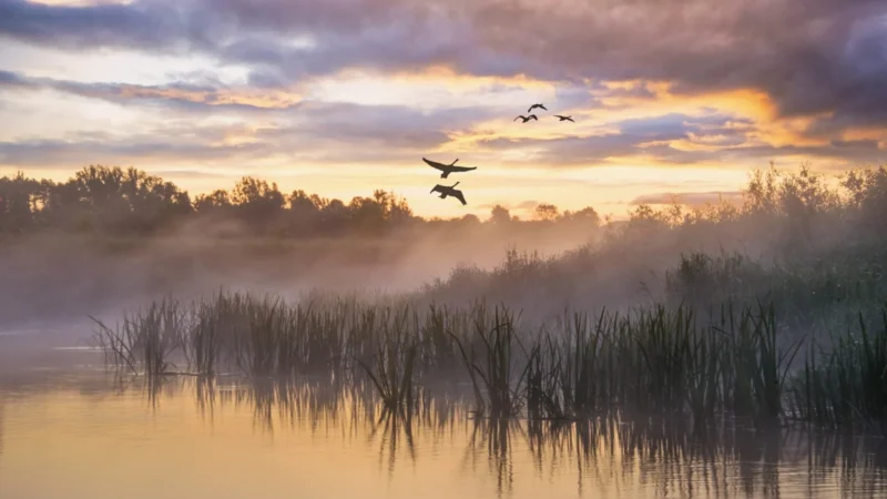 River Focus, The Rhine, VIVA Enjoy