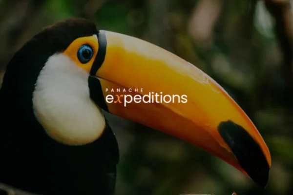 Panache Expeditions, Panache Cruises